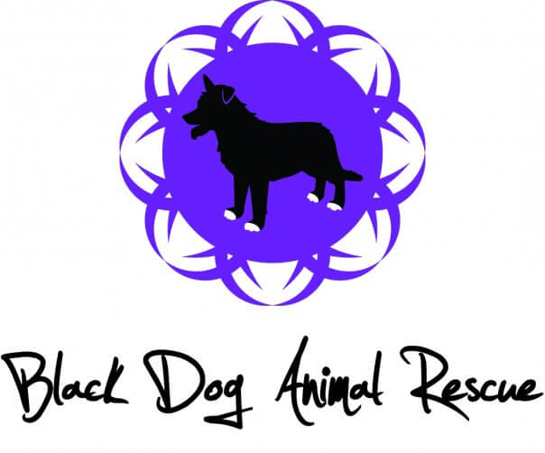 Black Dog Rescue