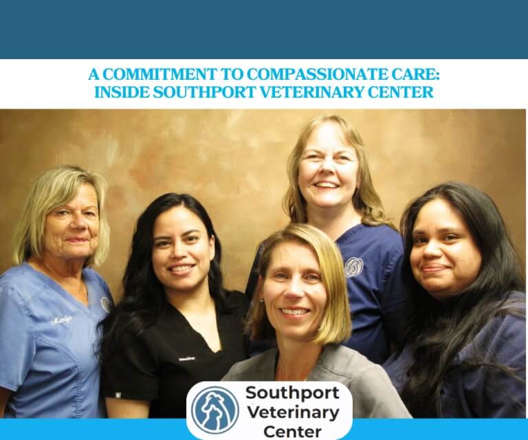 A-Commitment-to-Compassionate-Care-Inside-Southport-Veterinary-Center