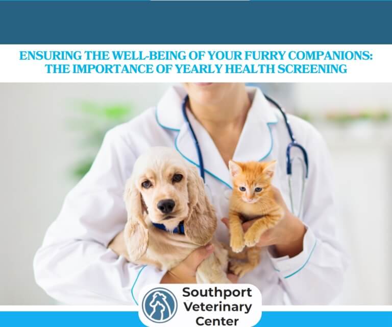 Ensuring-the-Well-being-of-Your-Furry-Companions-The-Importance-of-Yearly-Health-Screening-2.jpg